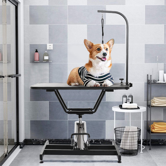 Milty Hydraulic Pet Grooming Table Heavy Duty Professional Dog Drying Table With Clamp Wayfair